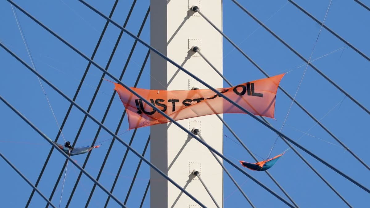 Climate protesters accused of 'blood on their hands' after 2 die in crash amid traffic from bridge protest