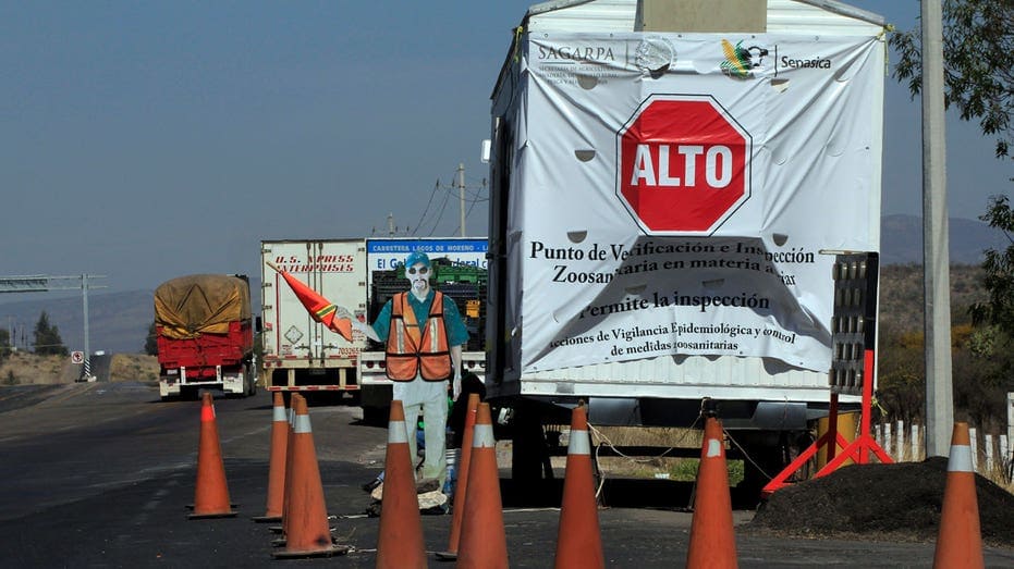 Mexico discovers H5N1 bird flu near US border