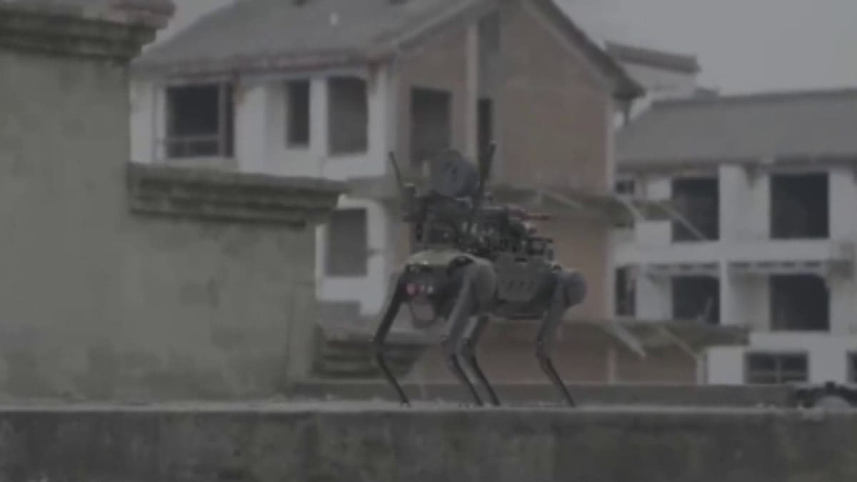 Shocking video shows Chinese robot attack dog with machine gun dropped by drone