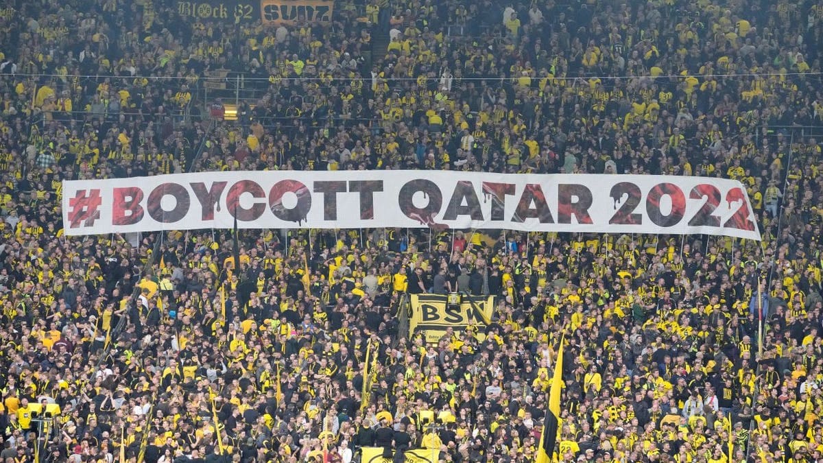 Calls grow for boycott of Qatar World Cup amid human rights violation concerns